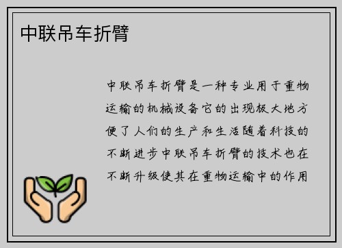 中联吊车折臂